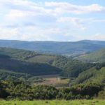 旅設計の最適解は宿代933円で旅情は個室フェリーである理由