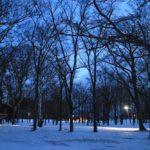 現代日本では自給自足が個人の努力では突破できない構造になっている