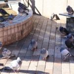 歩く時にズルズル、コツコツ、ジャラジャラと音を立てている奴が死ぬほど嫌い